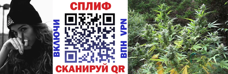 Купить закладки  Бакал  Марихуана семена 